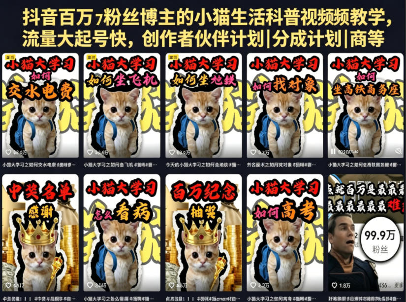 抖音百万粉丝博主的小猫生活科普视频教学，流量大起号快，创作者伙伴计划|分成计划|商单|收徒等-智云网