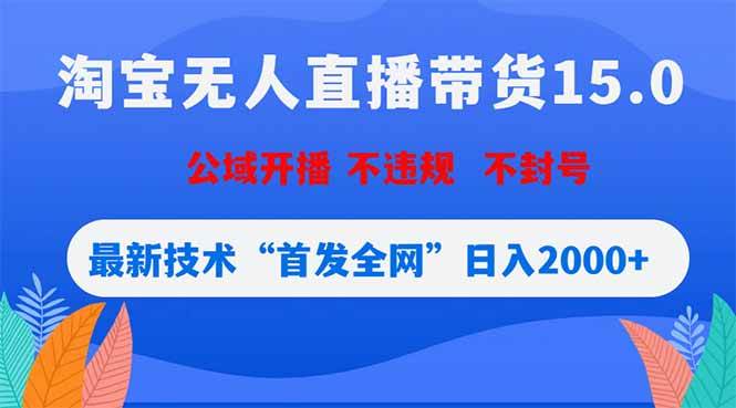 （18562期）淘宝无人直播带货15.0，不封号，不违规，公域玩法，首发全网日入2000+-智云网