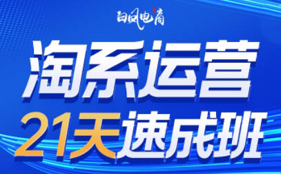白凤电商·淘系运营21天速成班(更新4月)-智云网