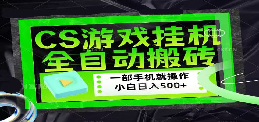 图片[1]-CSGO游戏挂机捡漏搬砖，超稳定的项目，带领1000+小白实现日入500+-智云网