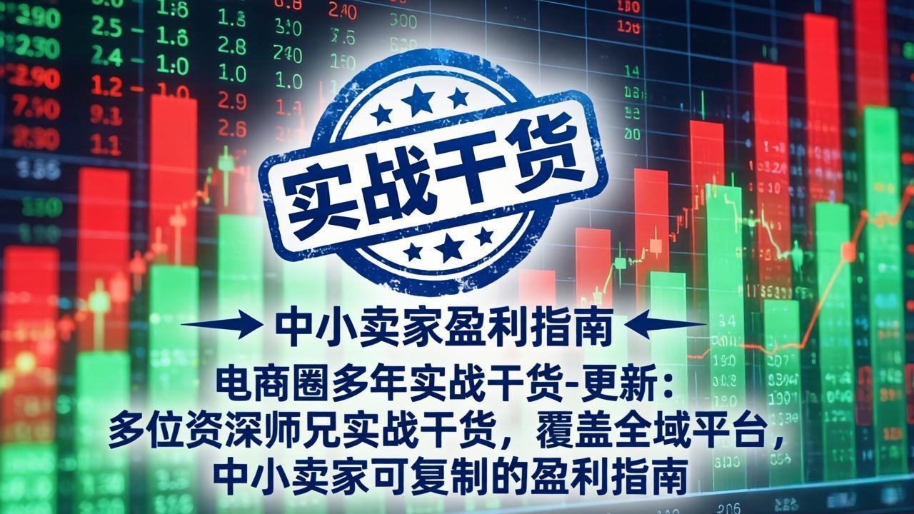 电商圈多年实战干货-更新5月20：多位资深师兄实战干货/覆盖全域平台，中小卖家可复制的盈利指南-智云网