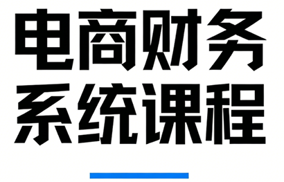 郑老师·电商财务系统课程-智云网