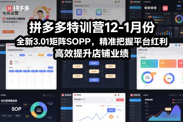 拼多多特训营12-1月份，全新3.01矩阵Sop，精准把握平台红利，高效提升店铺业绩-智云网